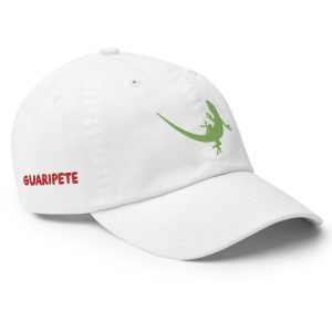 Baseball Caps clothing and accessories by Guaripete